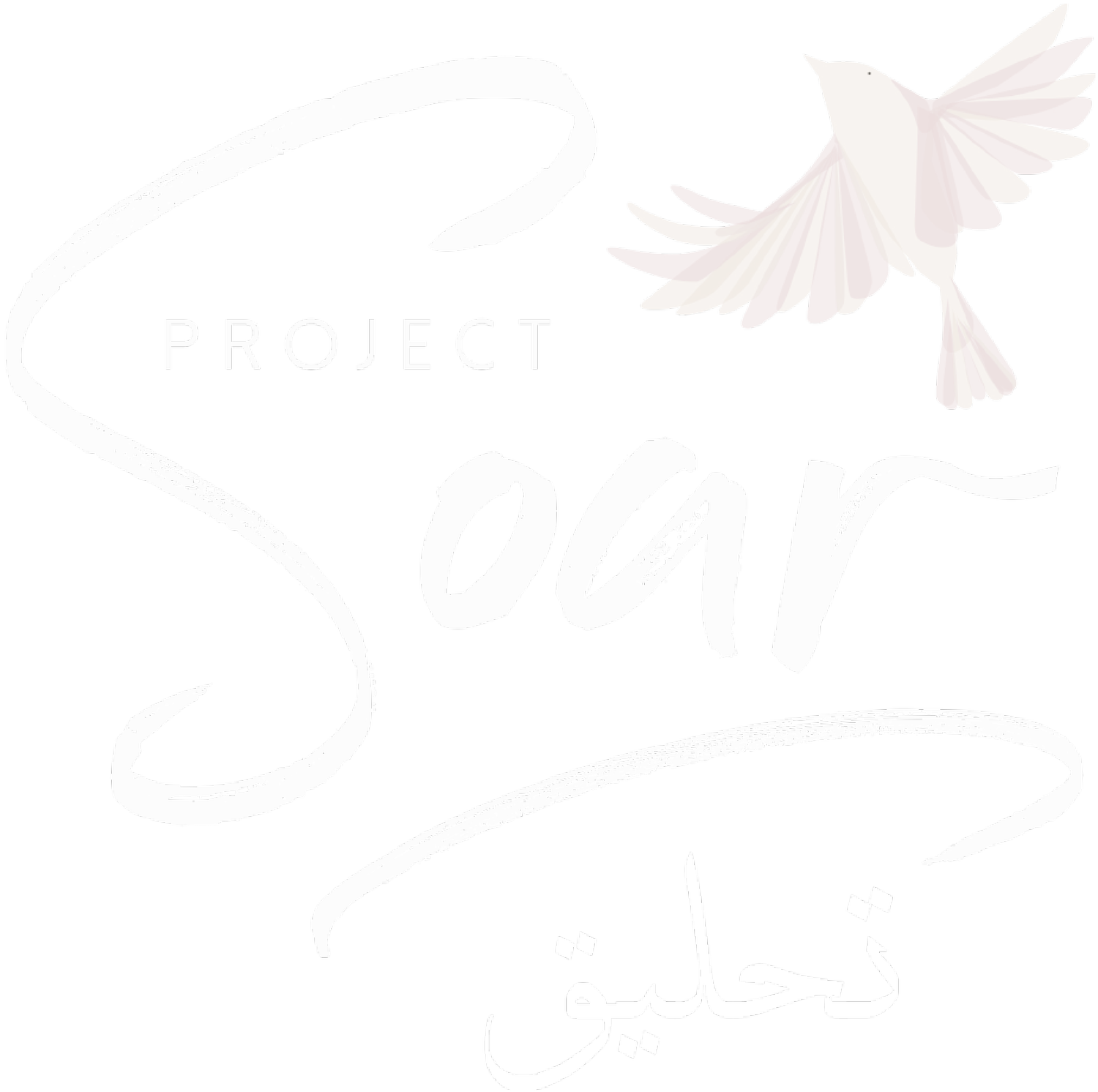 projectsoarlearning